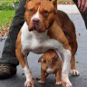 Meet your Posher, Whitney